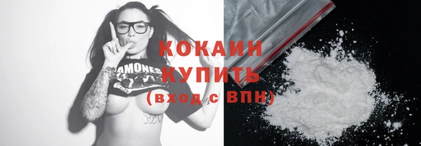 гашик Кулебаки