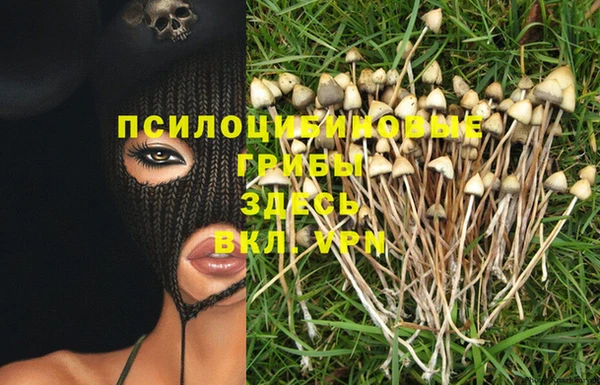 трава Кукмор