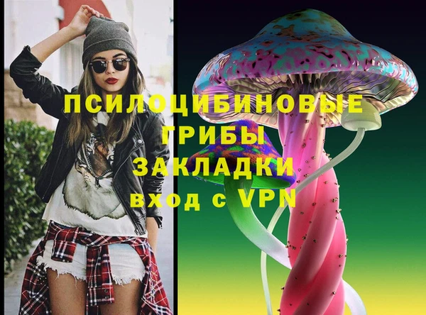 PSILOCYBIN Краснотурьинск