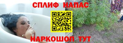 стаф Донецк