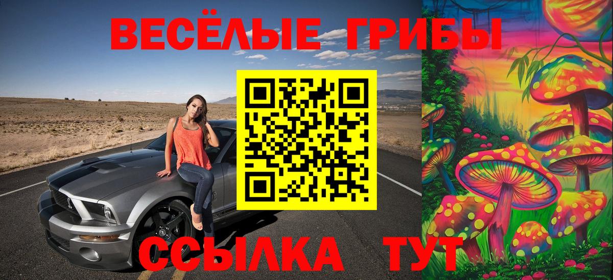 как найти закладки  Галлюциногенные грибы Psilocybe  Вход с VPN  Галлюциногенные грибы GOLDEN TEACHER  Майкоп 