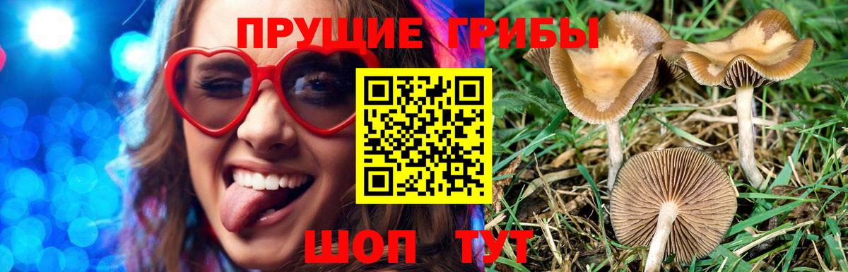 Псилоцибиновые грибы мухоморы Майкоп